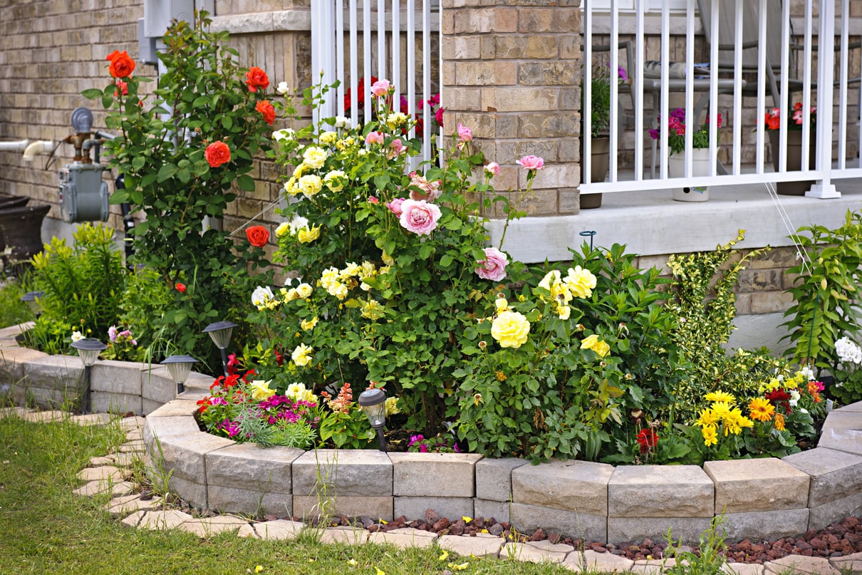 Garden with Stone Landscaping